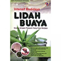 Intensif Budidaya Lidah Buaya